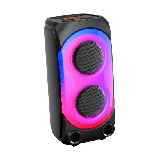 Party Karaoke Speaker Support TWS/USB/TF Card/AUX/REC